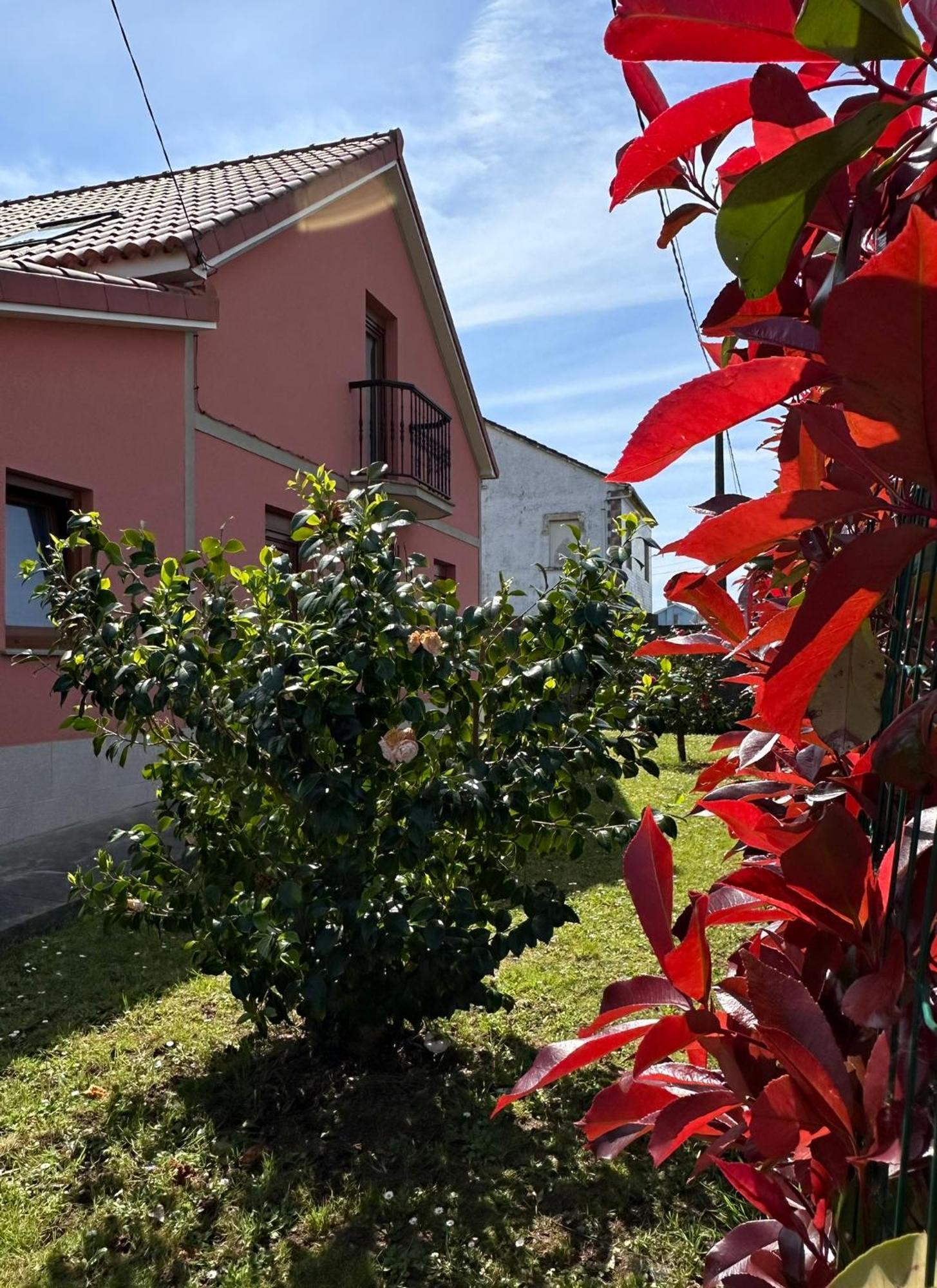 Casa Bieiteiro Villa Valdoviño Exterior foto